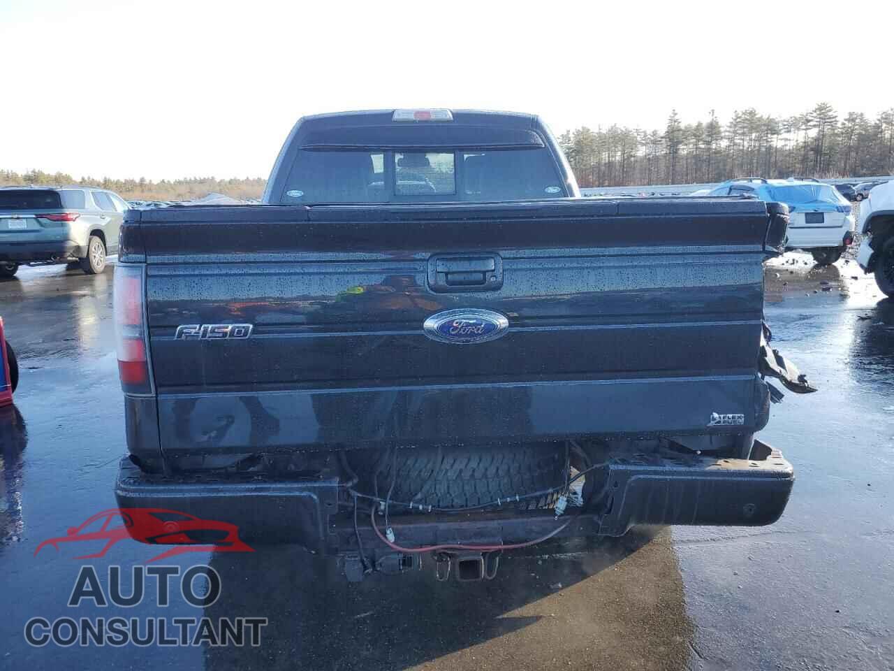 FORD F-150 2010 - 1FTFX1EV2AFD06521