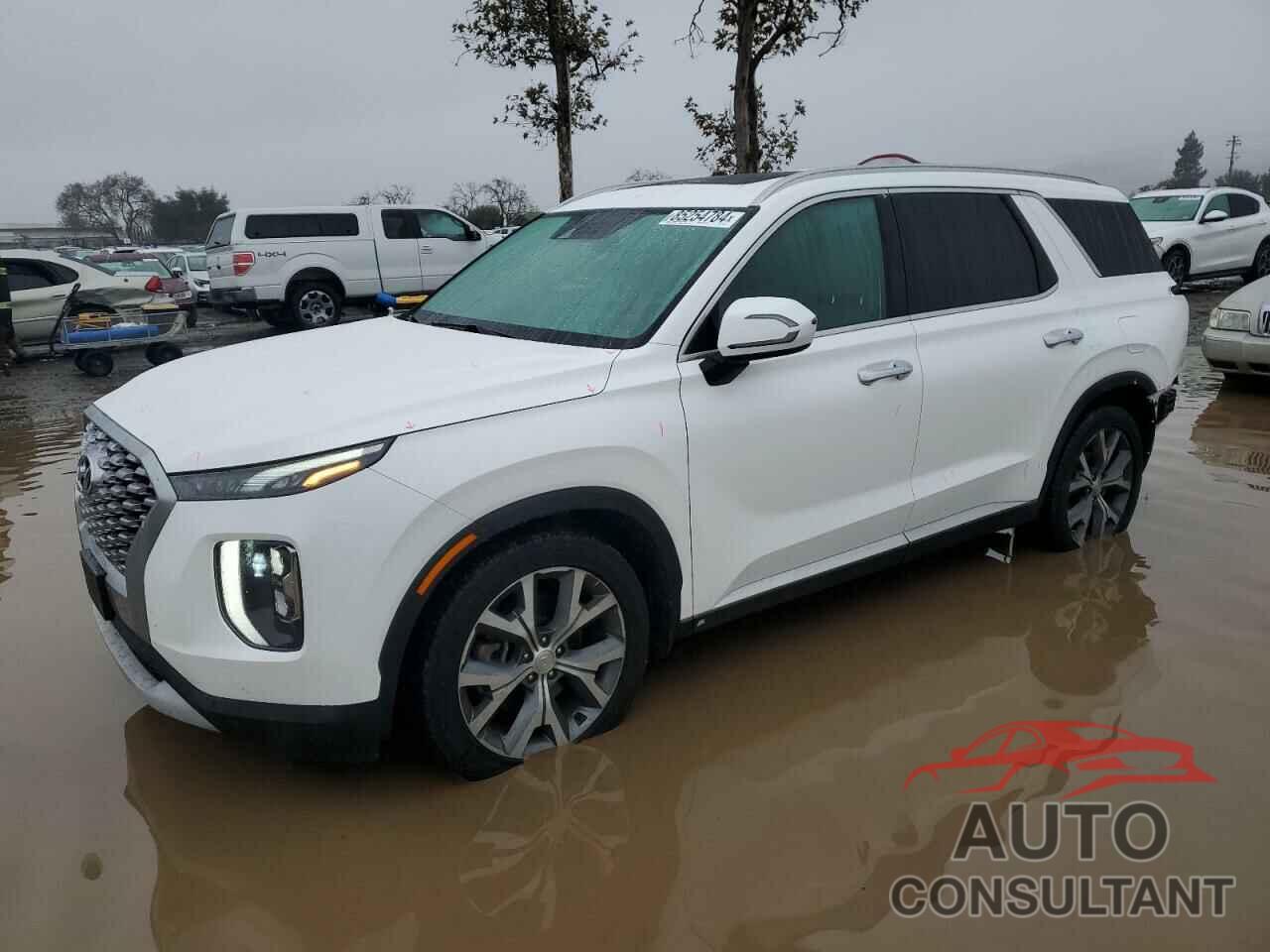 HYUNDAI PALISADE 2021 - KM8R44HE6MU176600