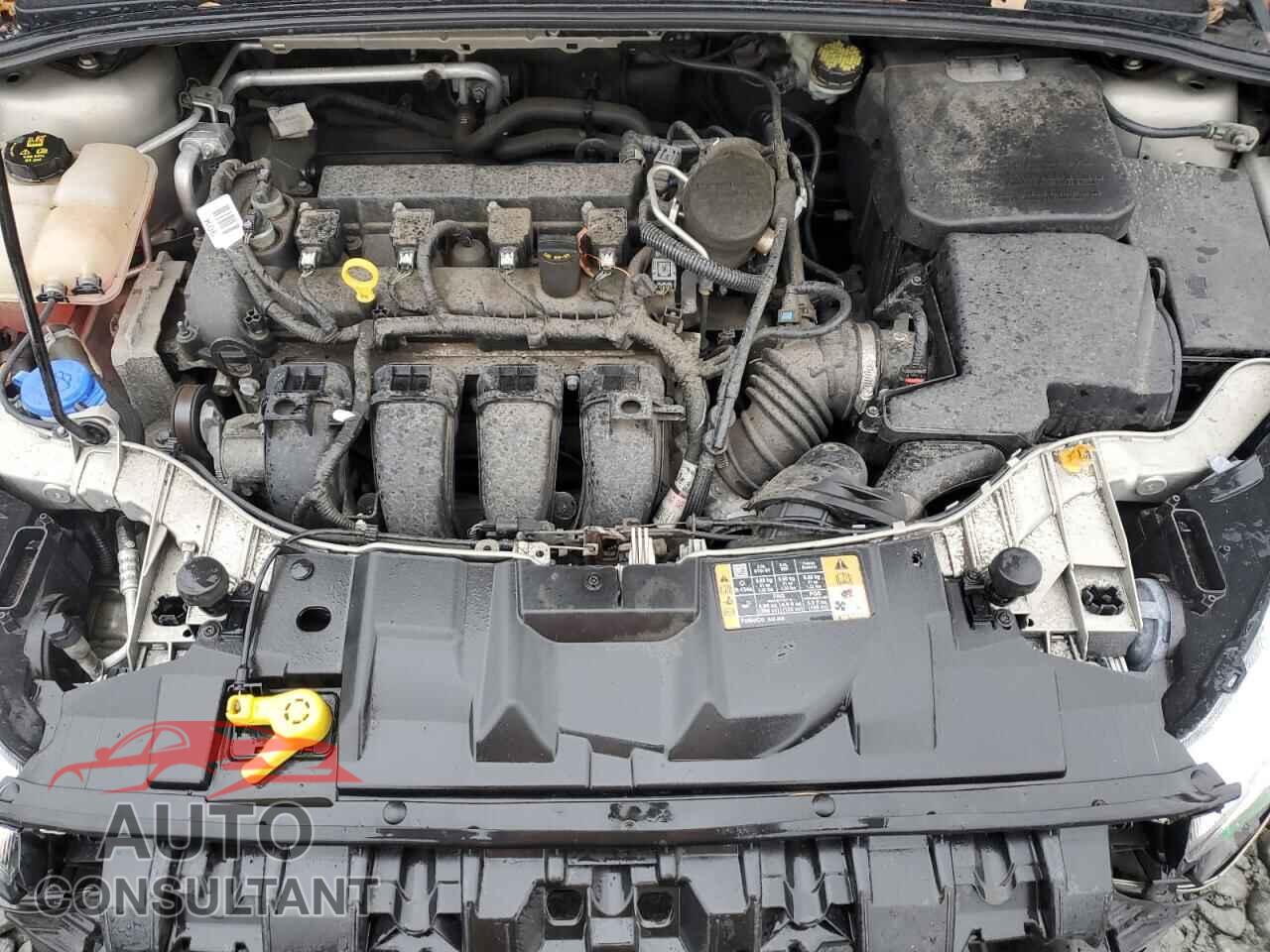 FORD FOCUS 2016 - 1FADP3F26GL239915