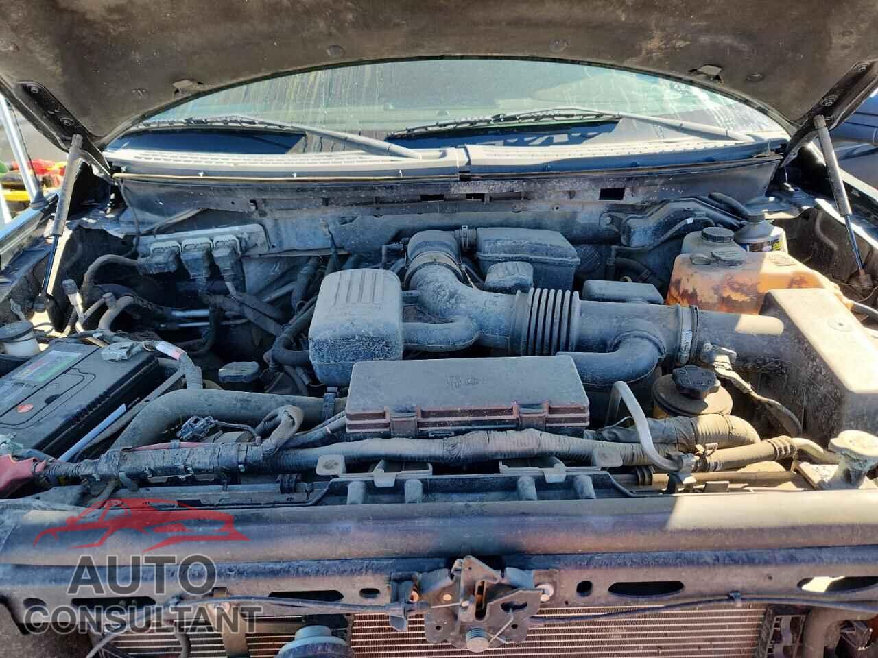 FORD F-150 2010 - 1FTFW1EV4AFB23964