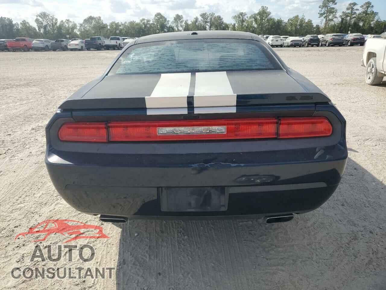 DODGE CHALLENGER 2012 - 2C3CDYAG3CH293084