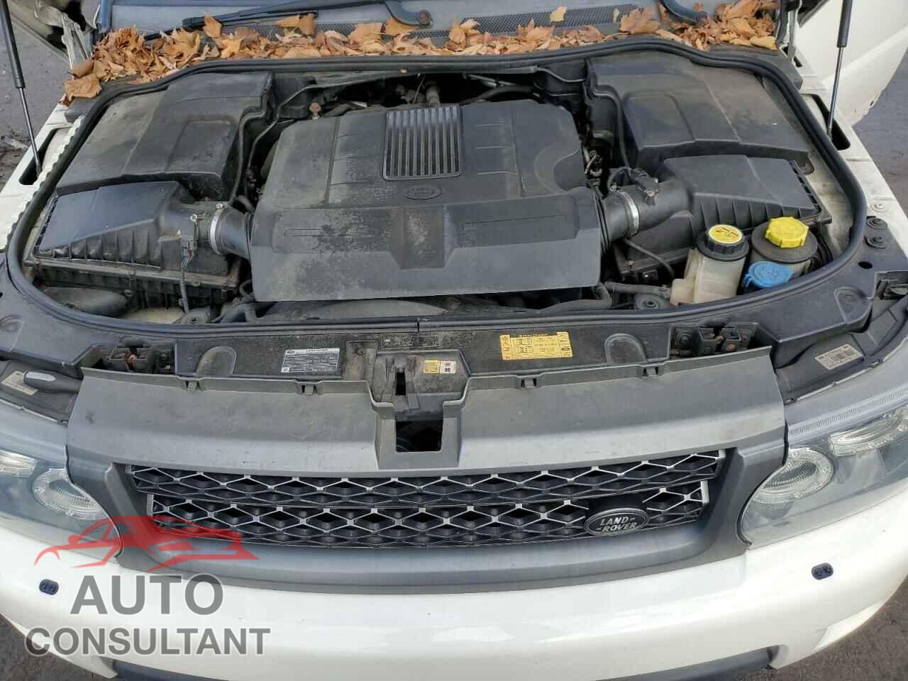 LAND ROVER RANGEROVER 2010 - SALSK2D49AA230751