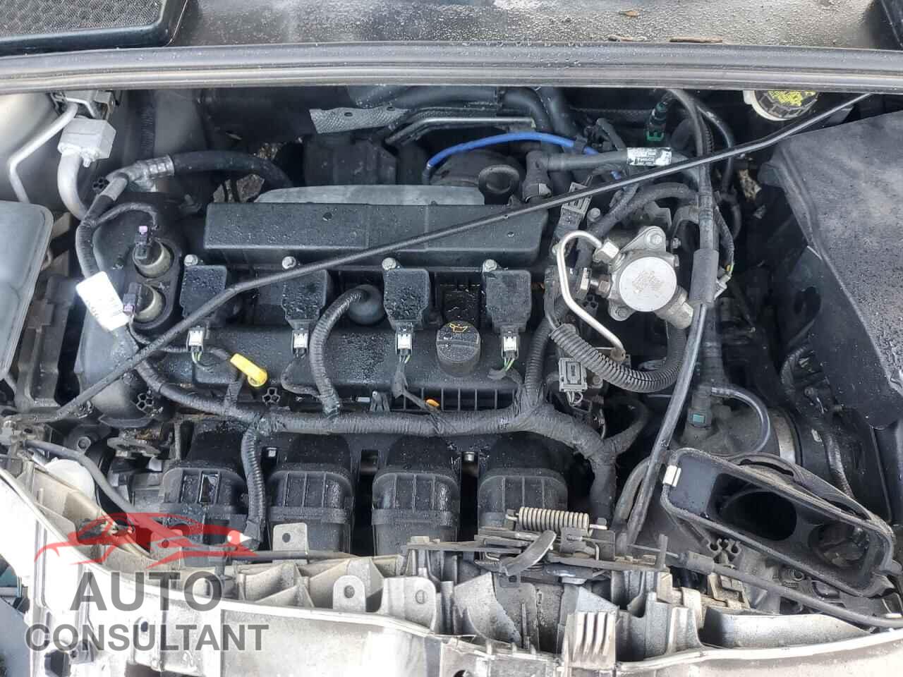 FORD FOCUS 2016 - 1FADP3F21GL376955