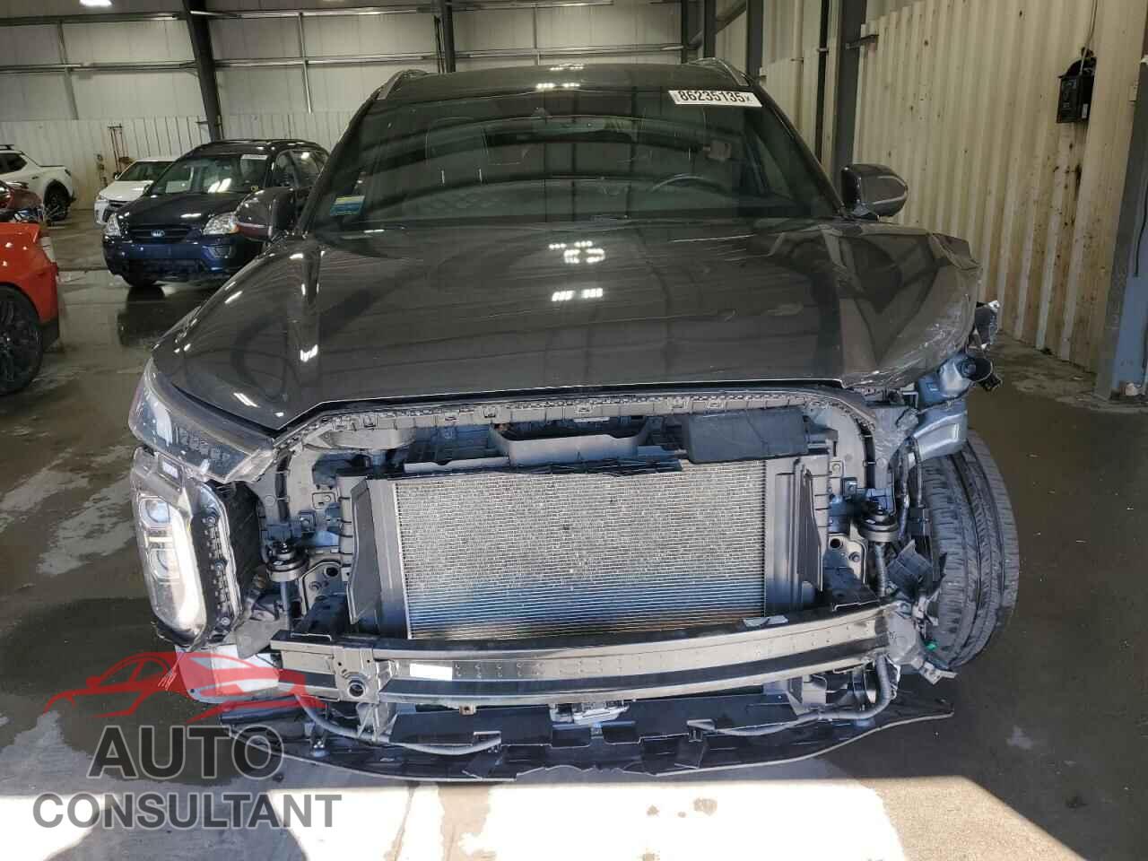 HYUNDAI PALISADE 2020 - KM8R5DHE6LU054136