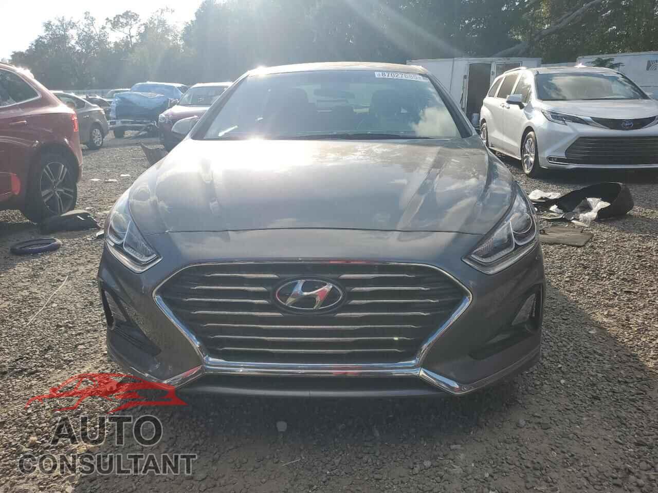 HYUNDAI SONATA 2019 - 5NPE24AF2KH742738
