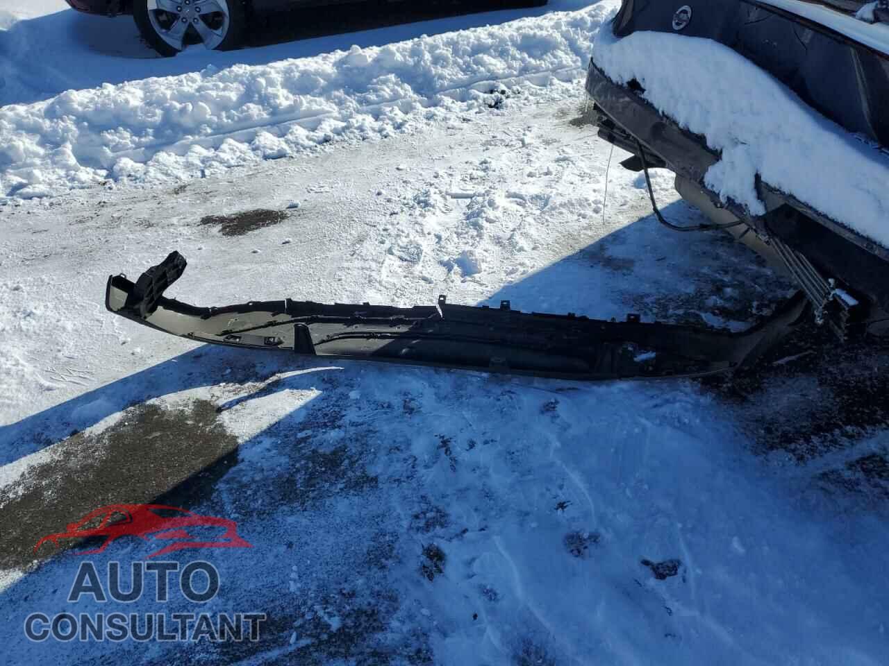 LEXUS RX350 2023 - 2T2BAMCA7PC003068