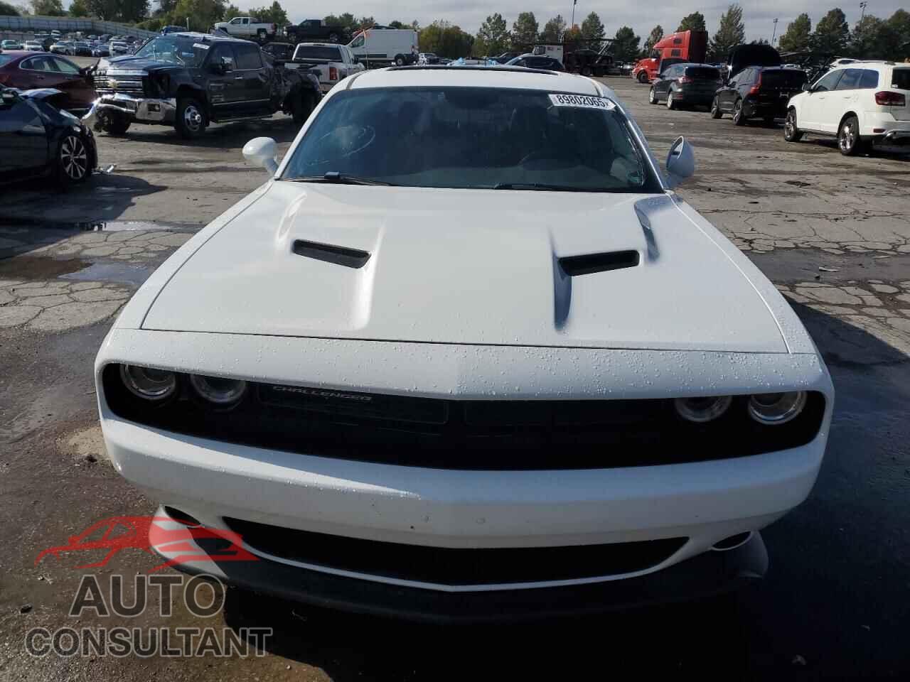 DODGE CHALLENGER 2016 - 2C3CDZFJ3GH220720