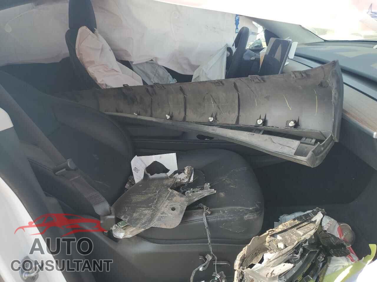 TESLA MODEL Y 2023 - 7SAYGAEE3PF788568