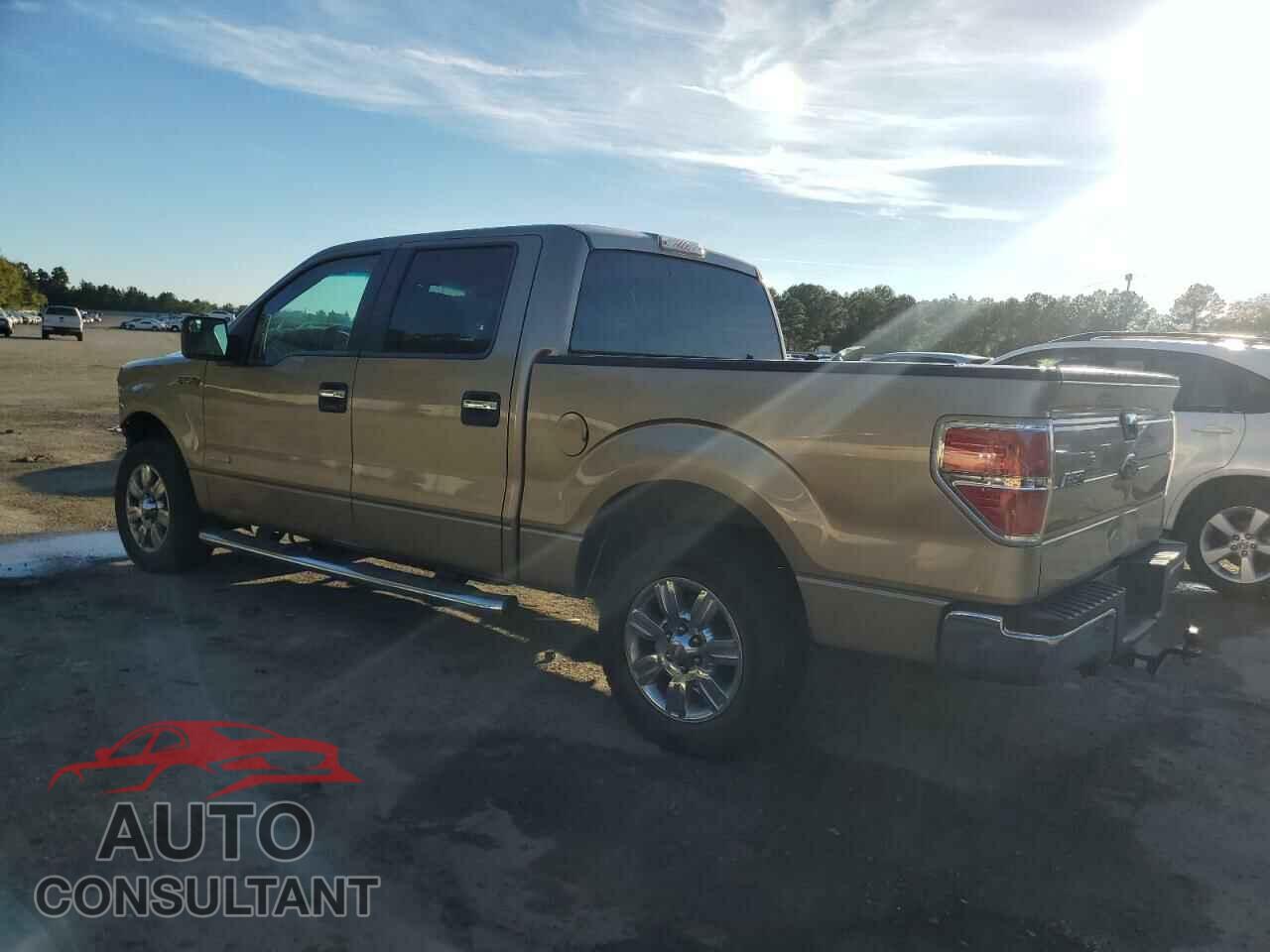 FORD F-150 2011 - 1FTFW1CT2BFB20970