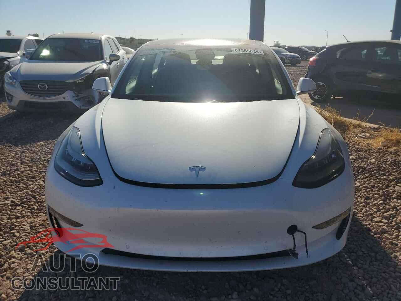 TESLA MODEL 3 2020 - 5YJ3E1ECXLF602546