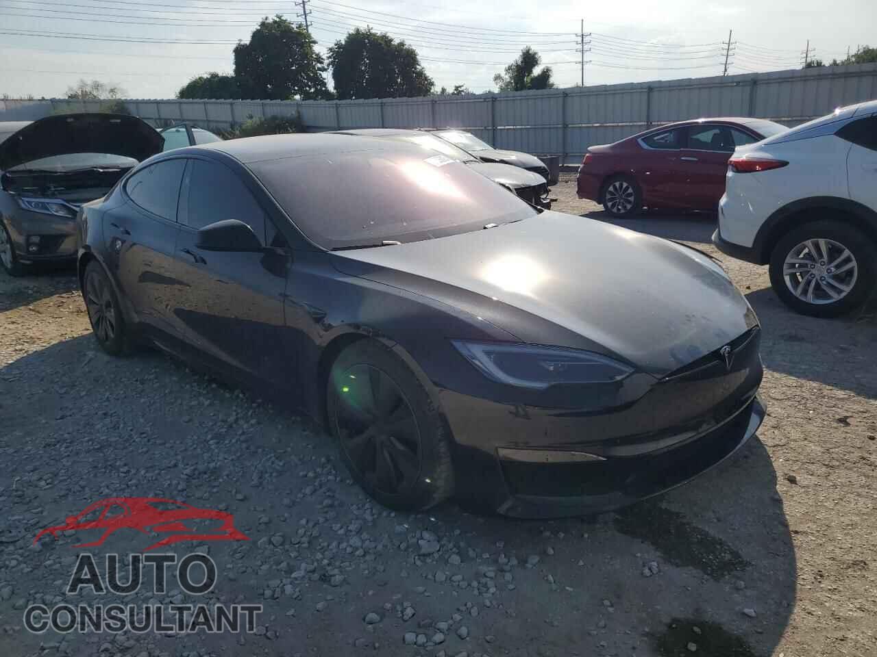 TESLA MODEL S 2023 - 5YJSA1E66PF516979
