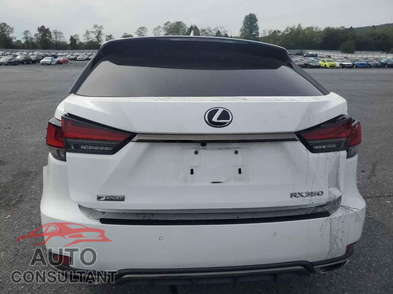LEXUS RX 350 F S 2020 - 2T2YZMDA2LC242524