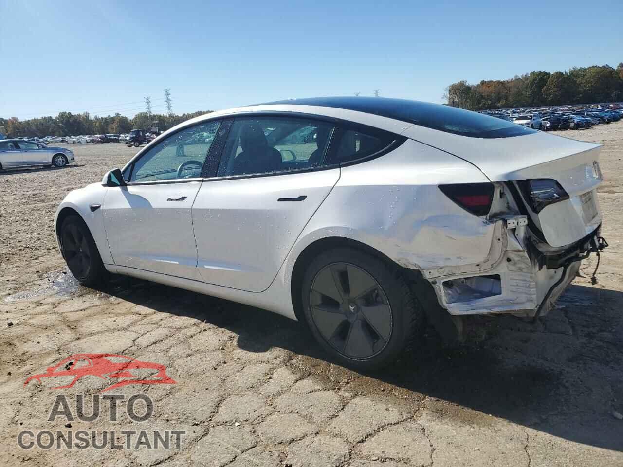 TESLA MODEL 3 2021 - 5YJ3E1EA1MF921222
