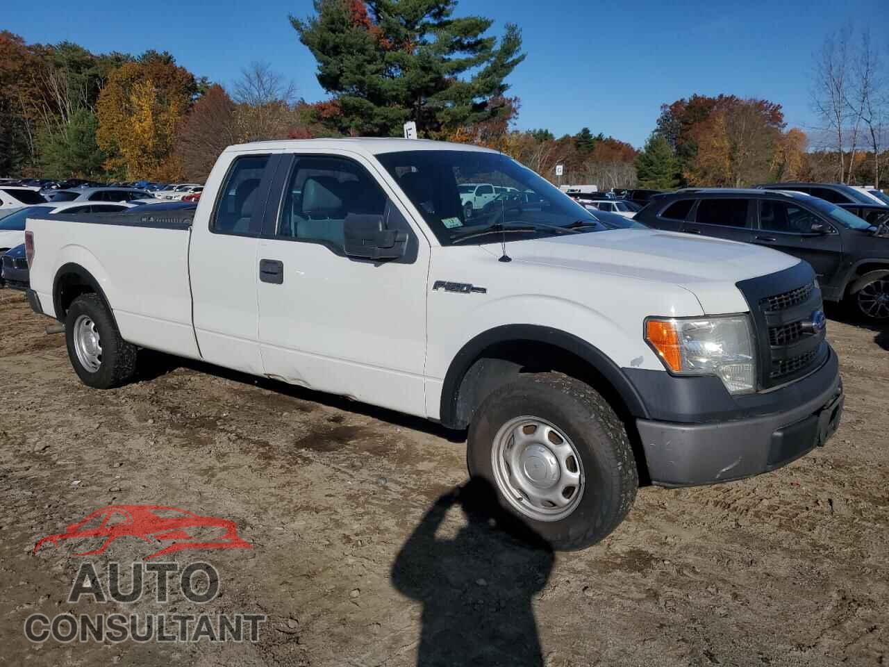 FORD F-150 2013 - 1FTFX1CF9DKD30791