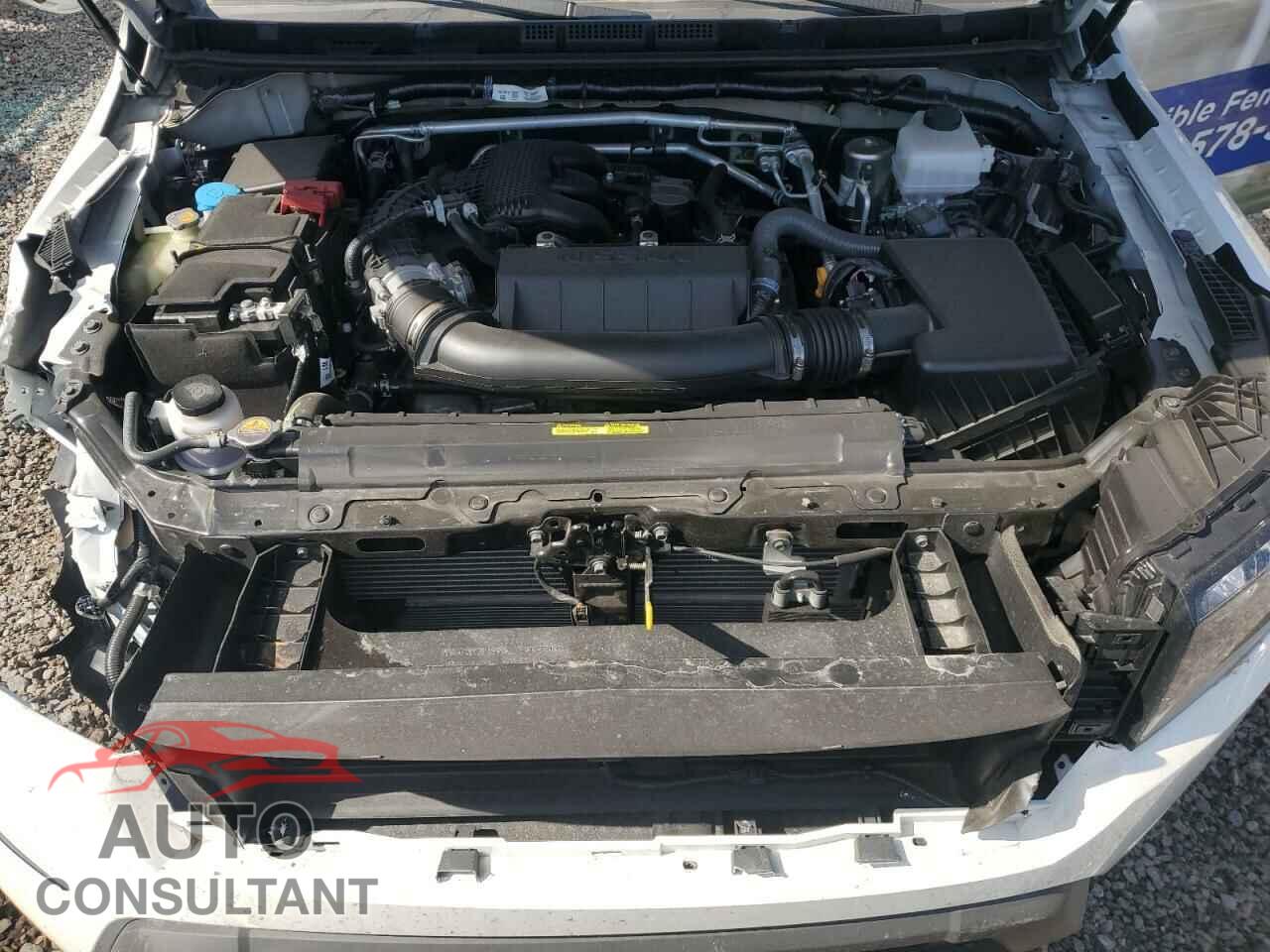 NISSAN FRONTIER 2024 - 1N6ED1CL5RN650347