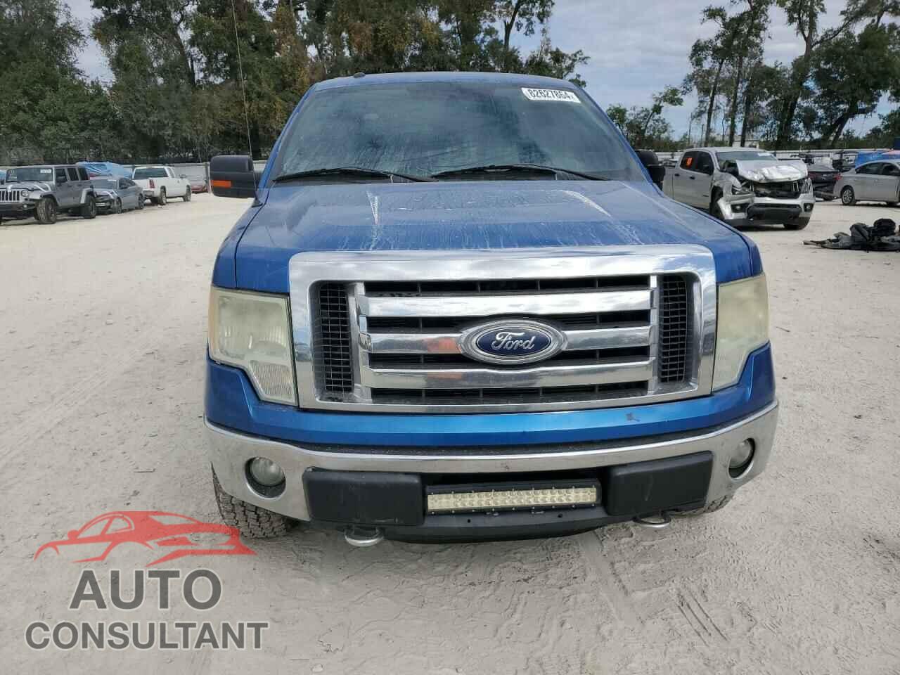 FORD F-150 2011 - 1FTFX1EF5BFB45351