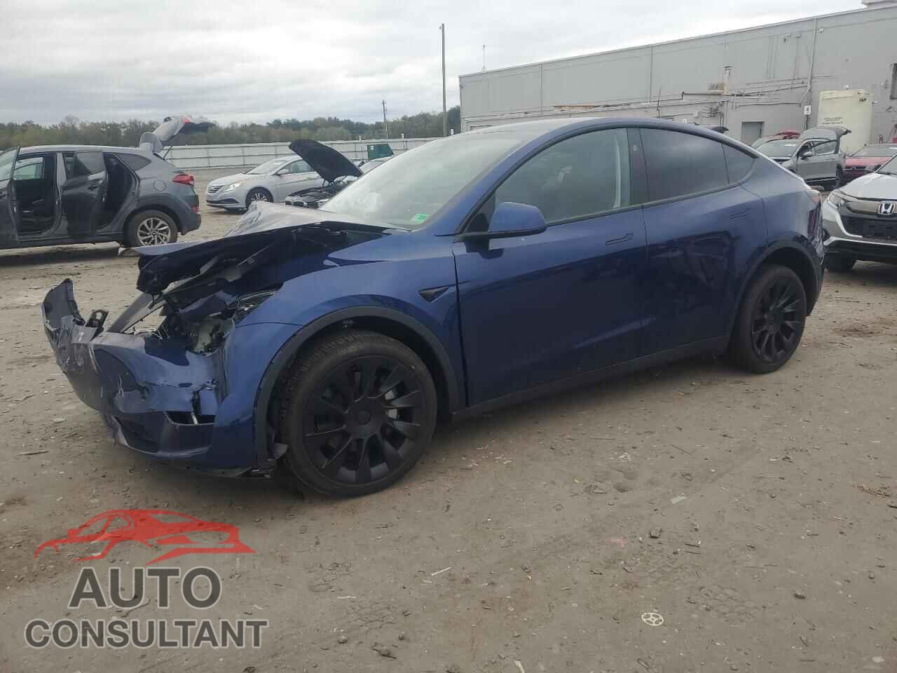 TESLA MODEL Y 2024 - 7SAYGDEE5RF154456