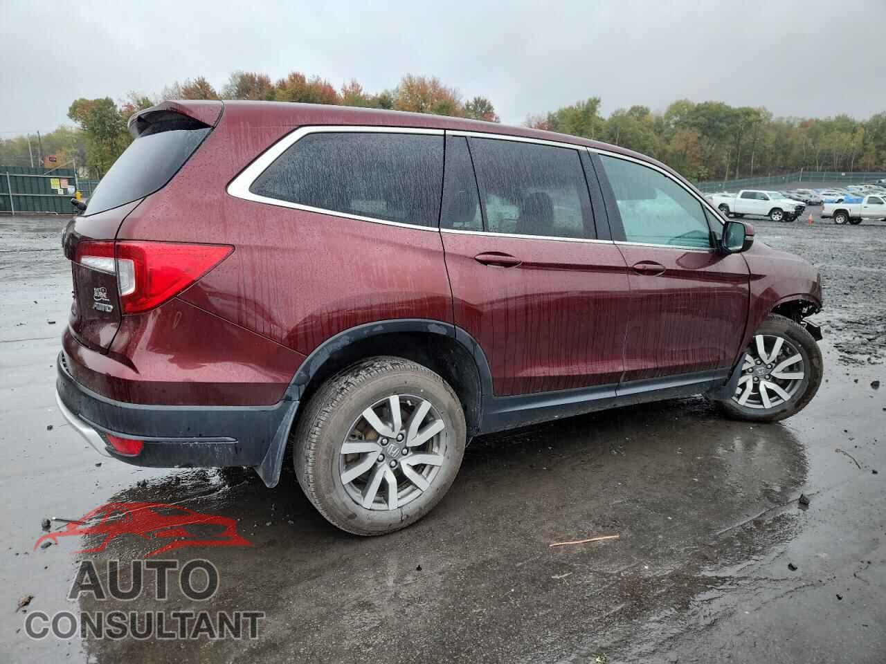HONDA PILOT 2019 - 5FNYF6H5XKB083266