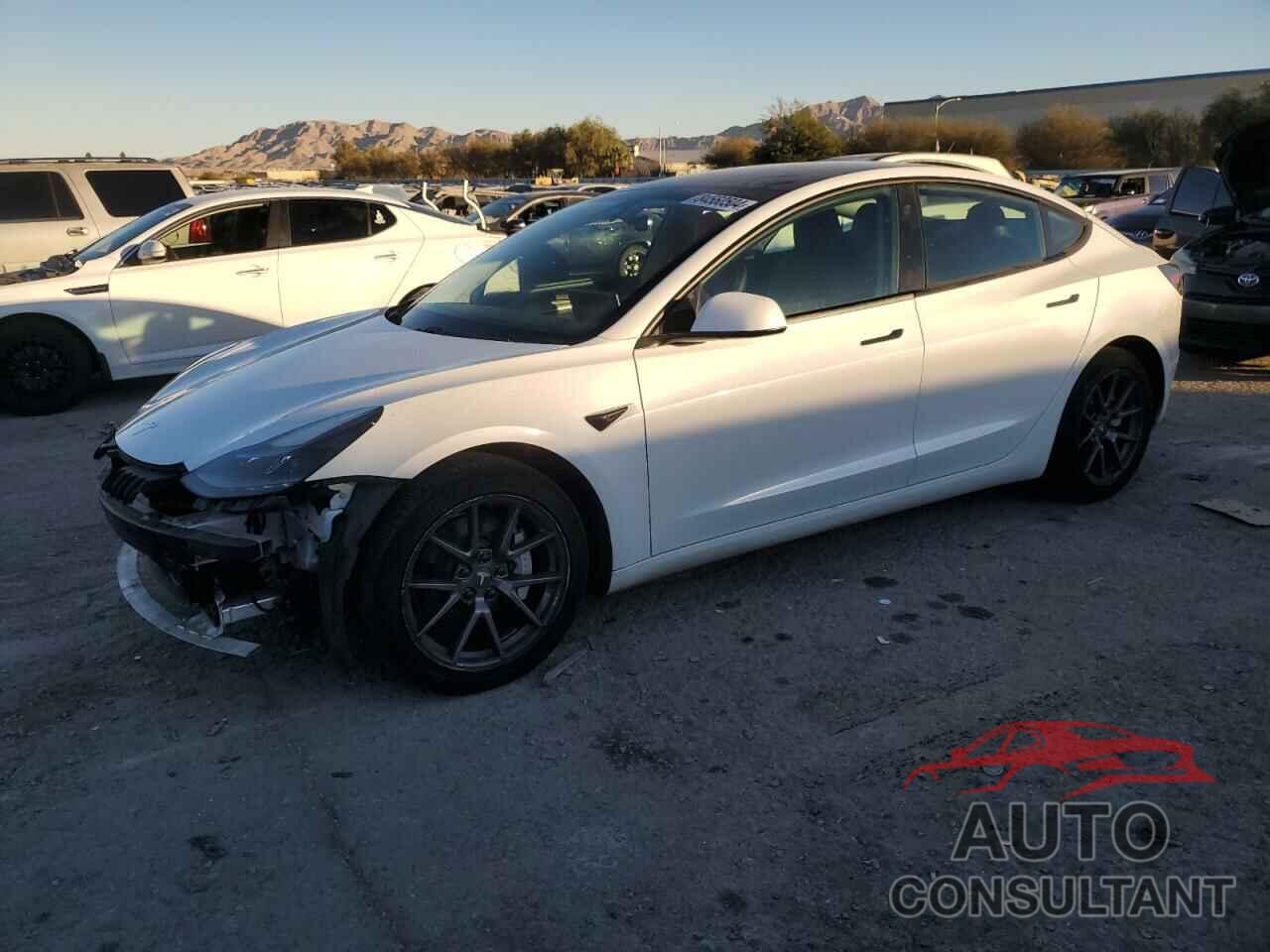 TESLA MODEL 3 2021 - 5YJ3E1EA0MF986434