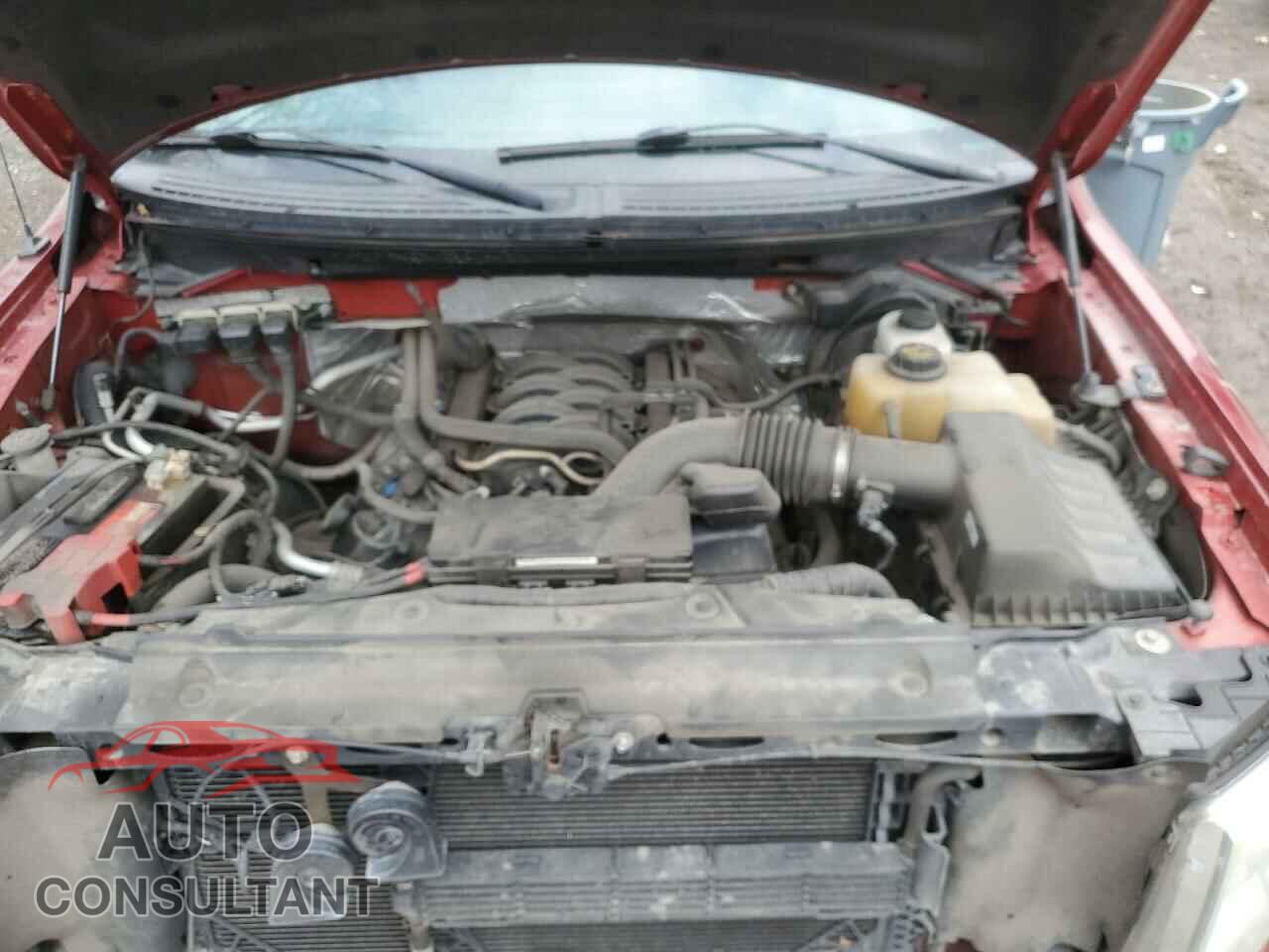 FORD F-150 2013 - 1FTFW1EF4DFD87909