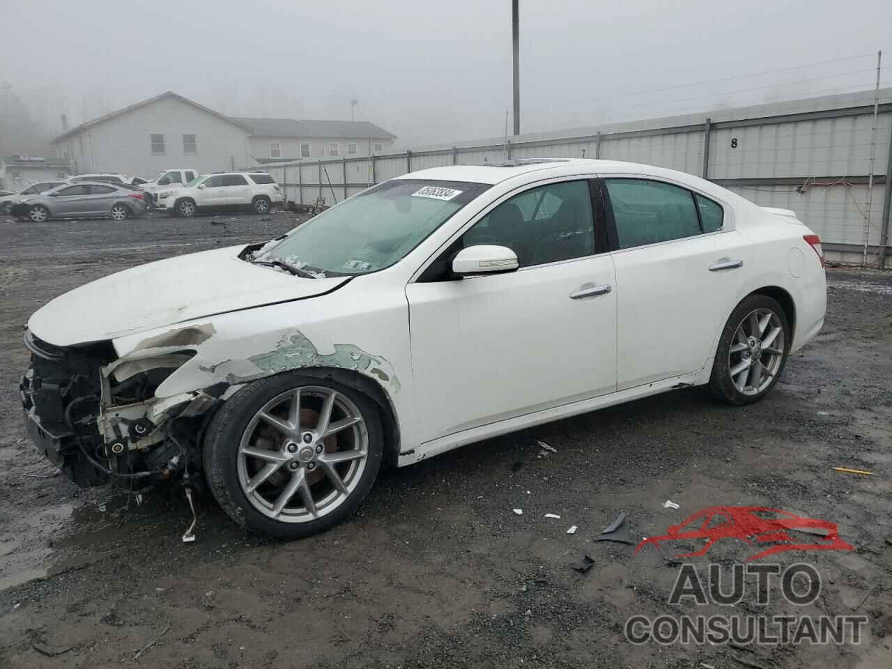 NISSAN MAXIMA 2010 - 1N4AA5AP6AC820096