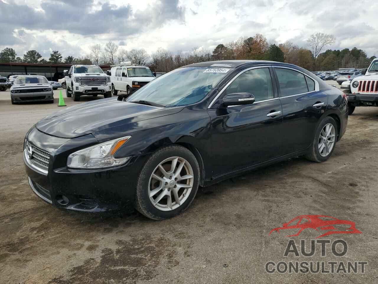 NISSAN MAXIMA 2009 - 1N4AA51E89C829196