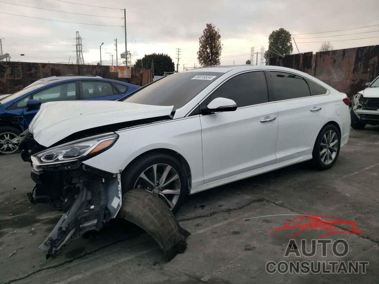 HYUNDAI SONATA 2018 - 5NPE34AF1JH601347