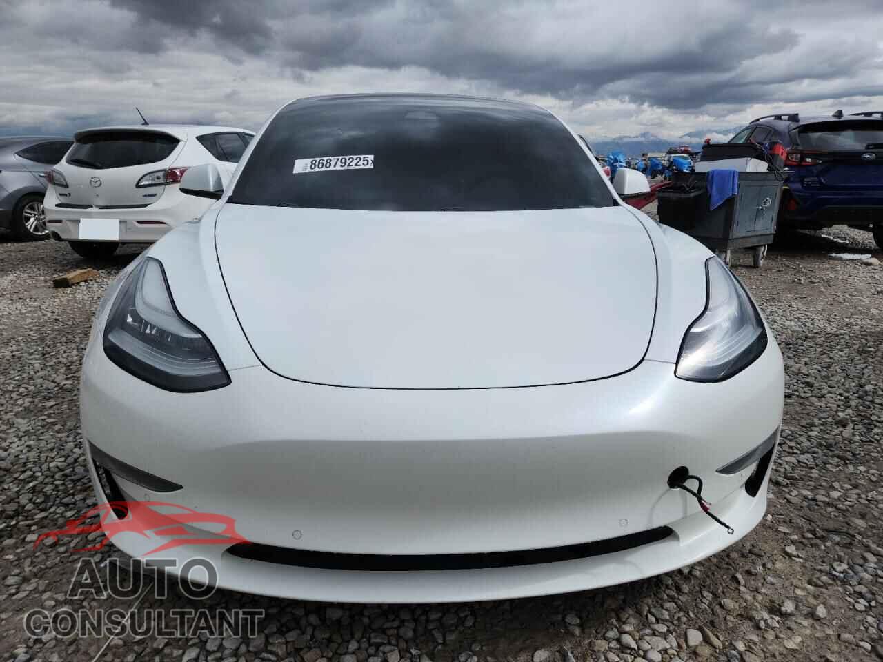 TESLA MODEL 3 2019 - 5YJ3E1EB9KF393726