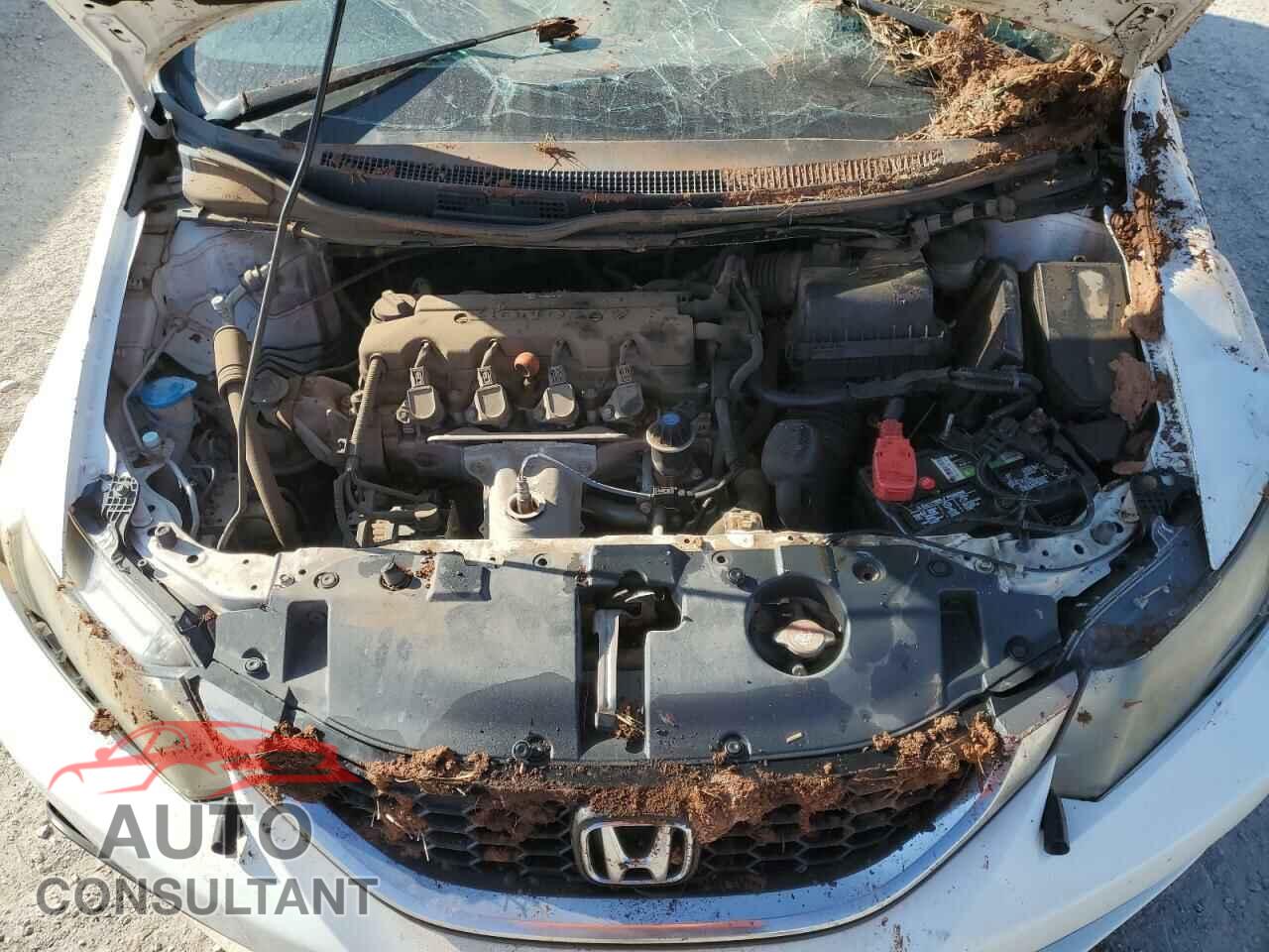 HONDA CIVIC 2014 - 19XFB2F80EE081688