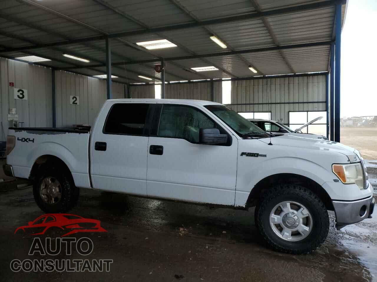 FORD F-150 2011 - 1FTFW1EF5BKD86644