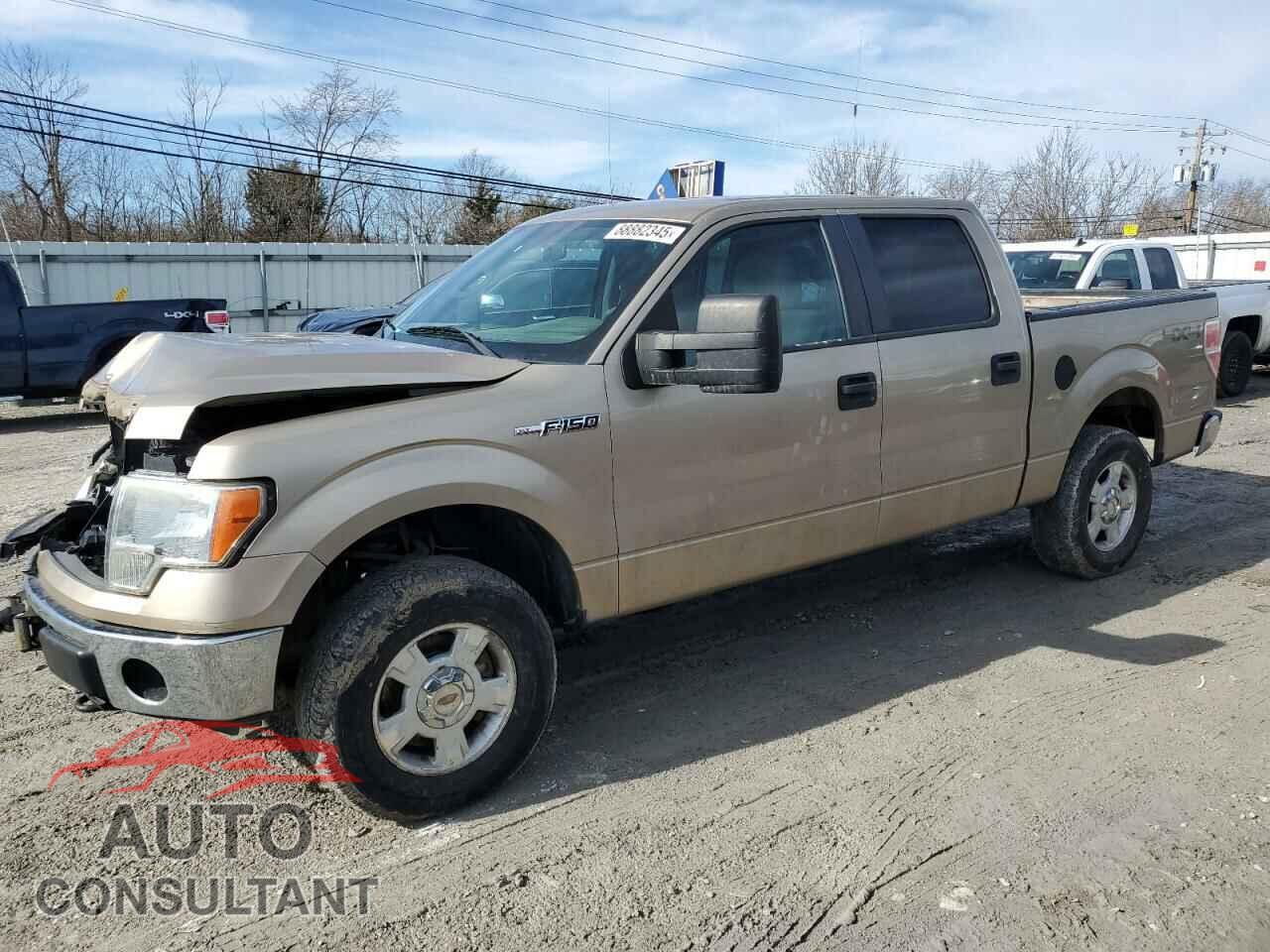FORD F-150 2012 - 1FTFW1EF5CFB44348