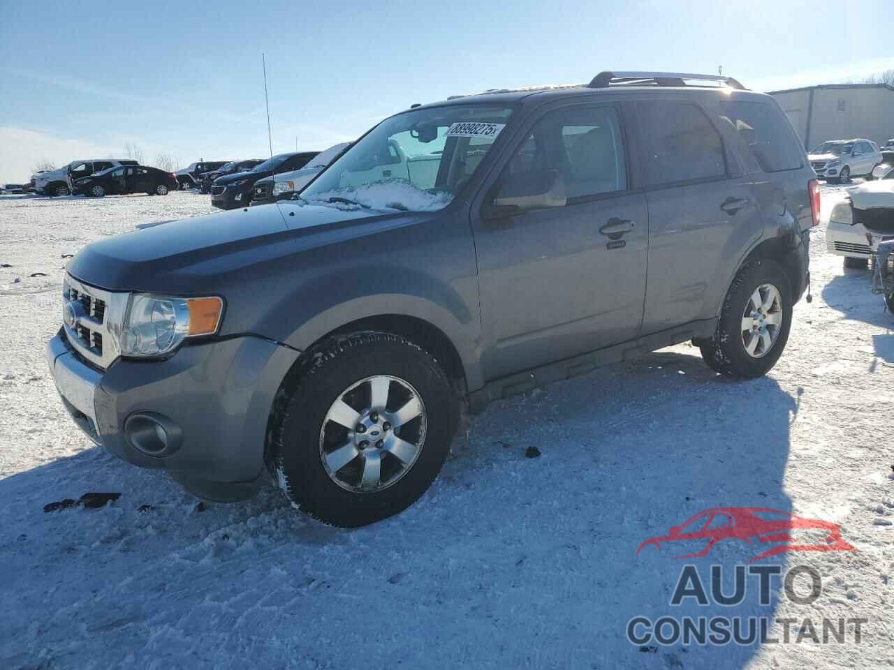 FORD ESCAPE 2011 - 1FMCU9E77BKB45700