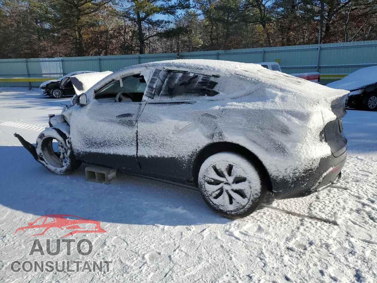 TESLA MODEL Y 2024 - 7SAYGAEE3RF111295