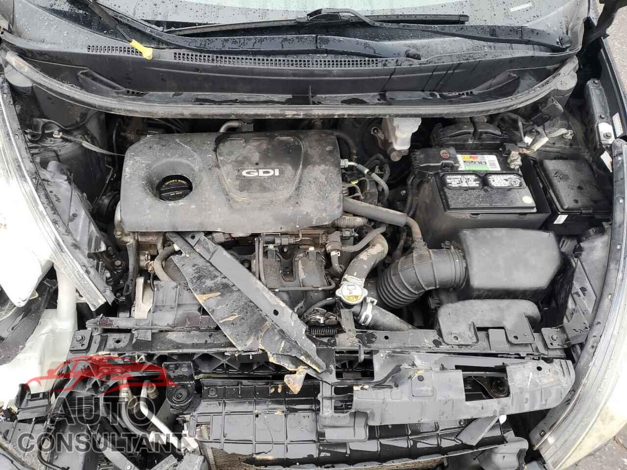 KIA RIO 2017 - KNADM4A31H6061305