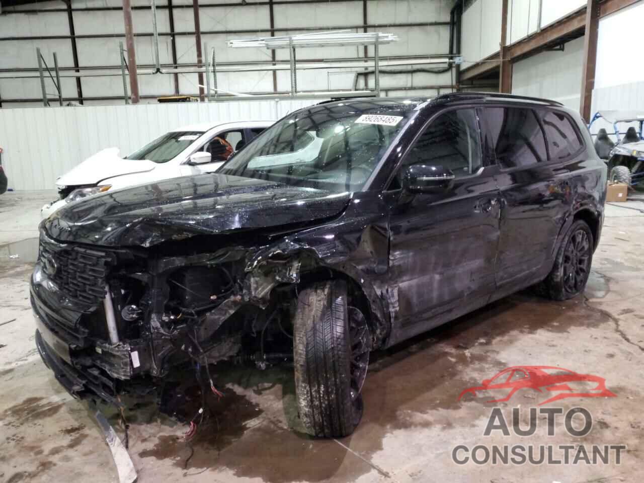 KIA TELLURIDE 2021 - 5XYP5DHC3MG172724