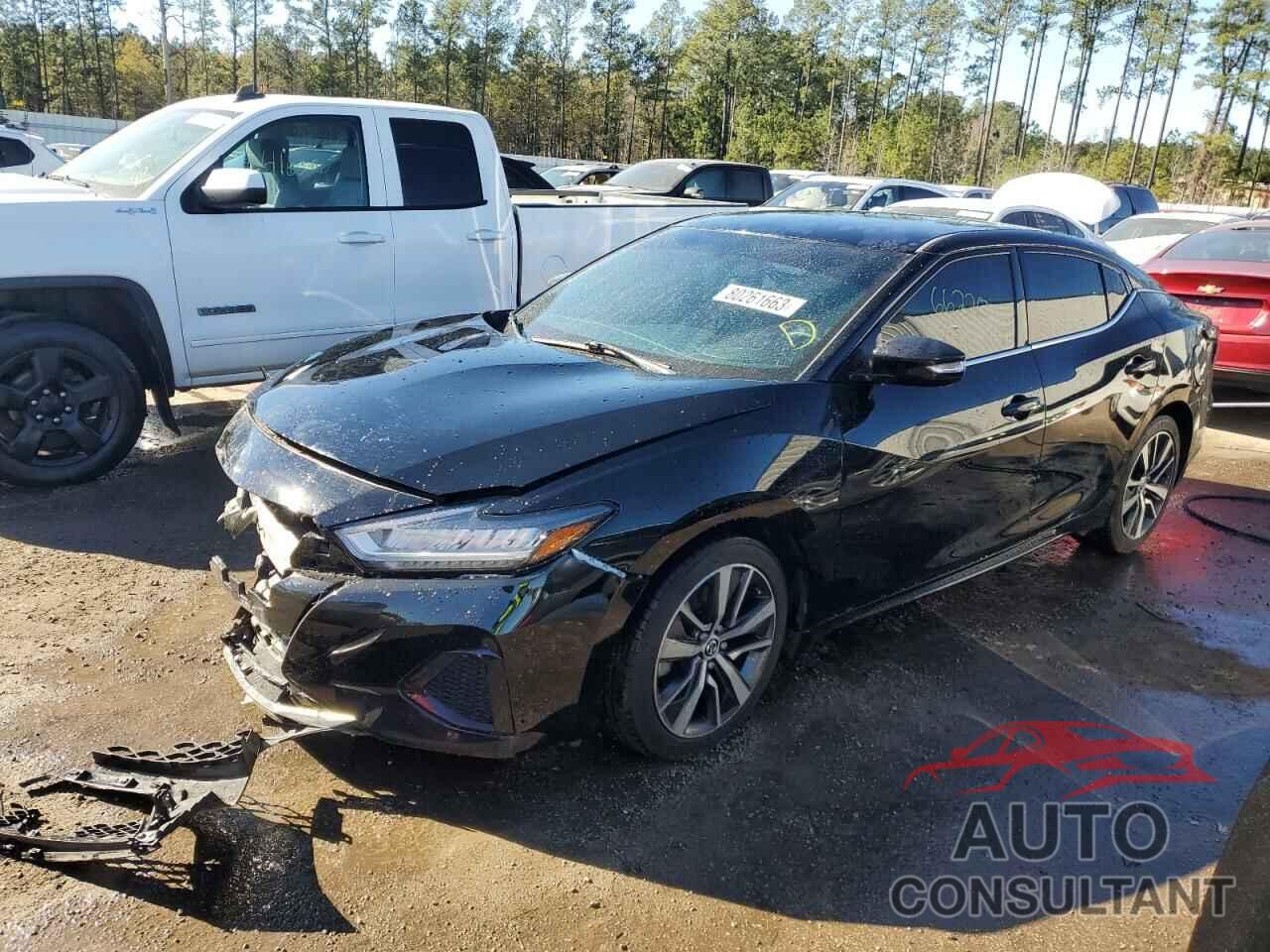 NISSAN MAXIMA 2019 - 1N4AA6AV0KC383489