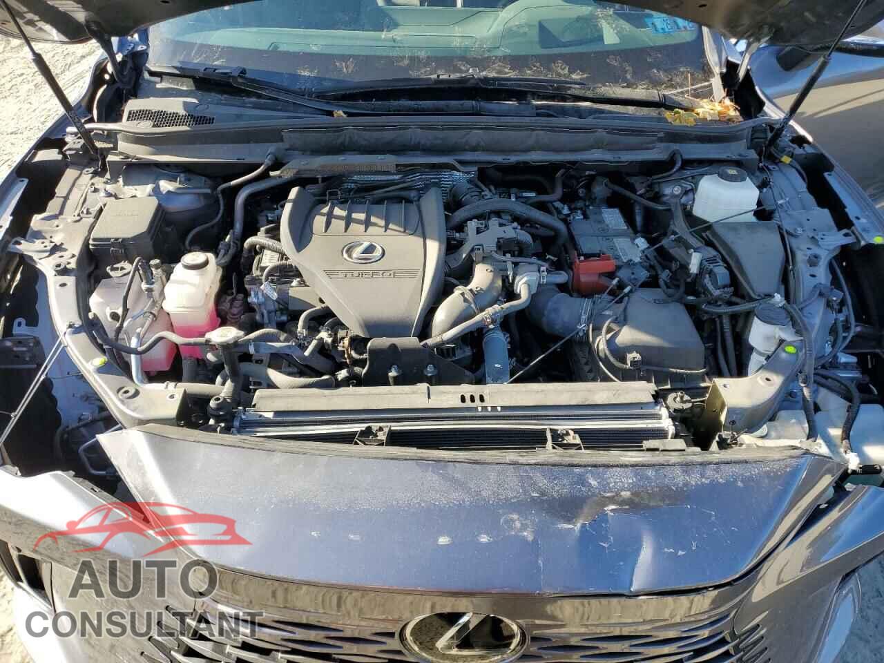 LEXUS RX350 2023 - 2T2BAMCA7PC003202