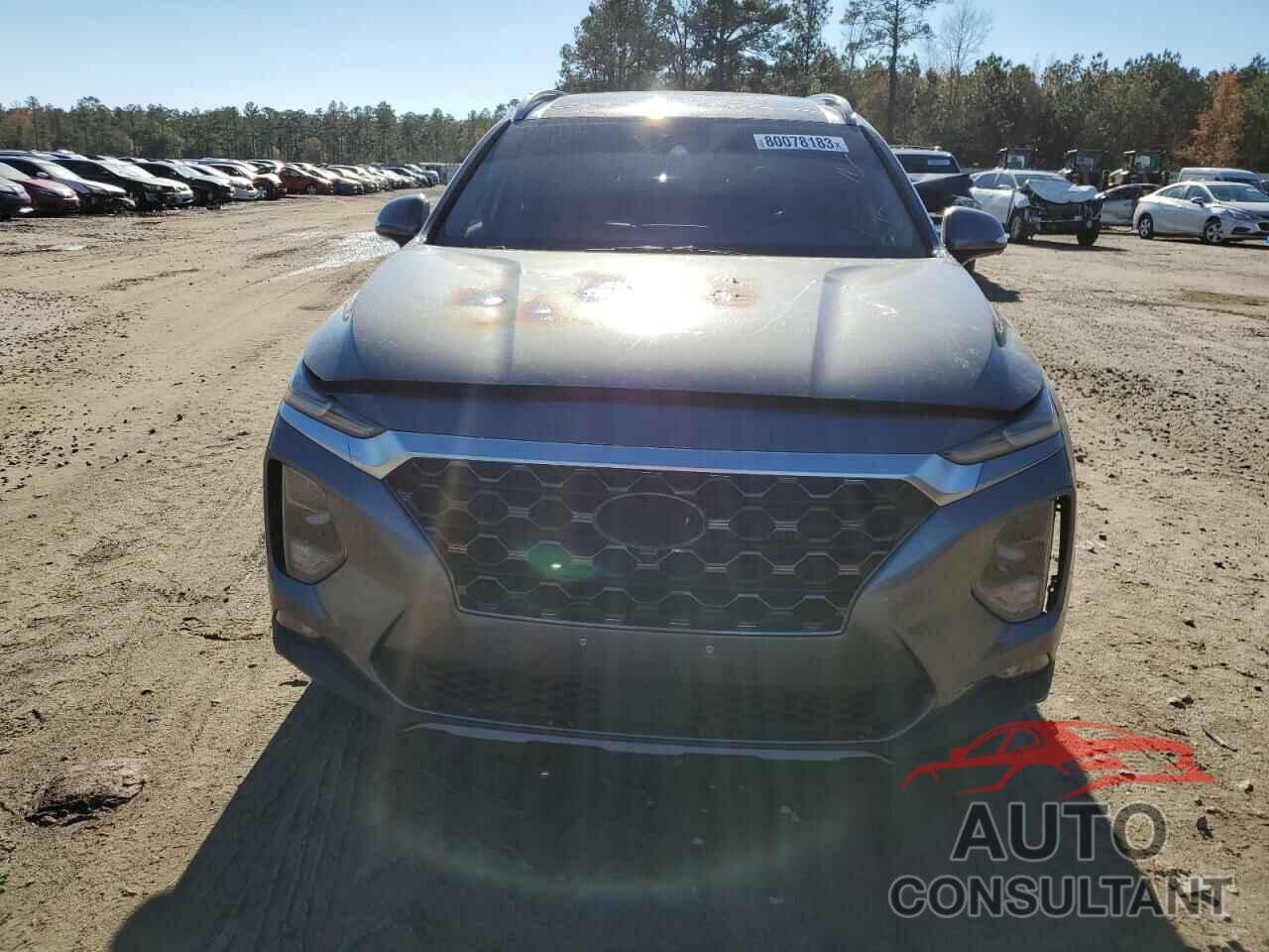 HYUNDAI SANTA FE 2019 - 5NMS5CAAXKH028278