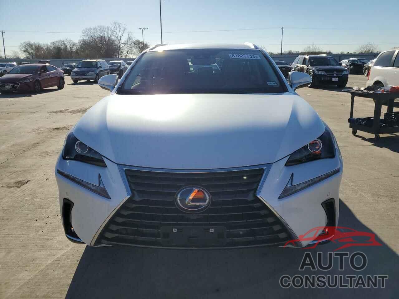 LEXUS NX 2020 - JTJDJRDZ8L5004555