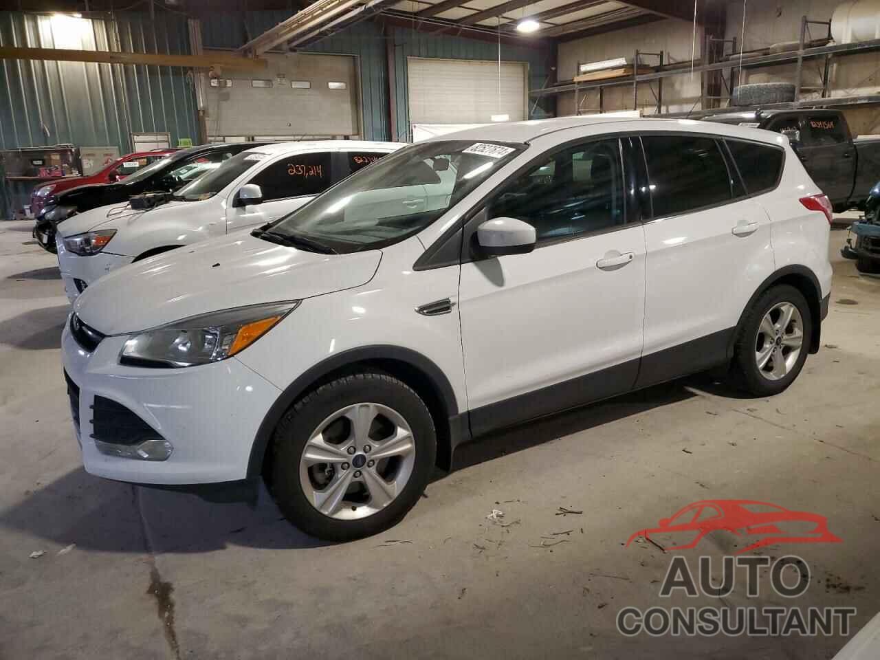 FORD ESCAPE 2016 - 1FMCU9GX8GUC37245