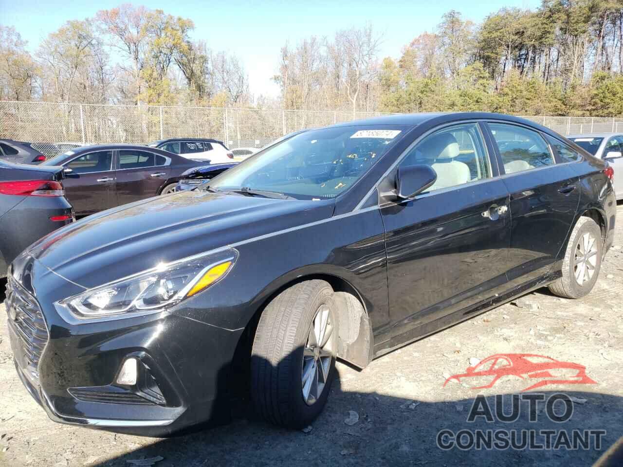 HYUNDAI SONATA 2019 - 5NPE24AFXKH801387