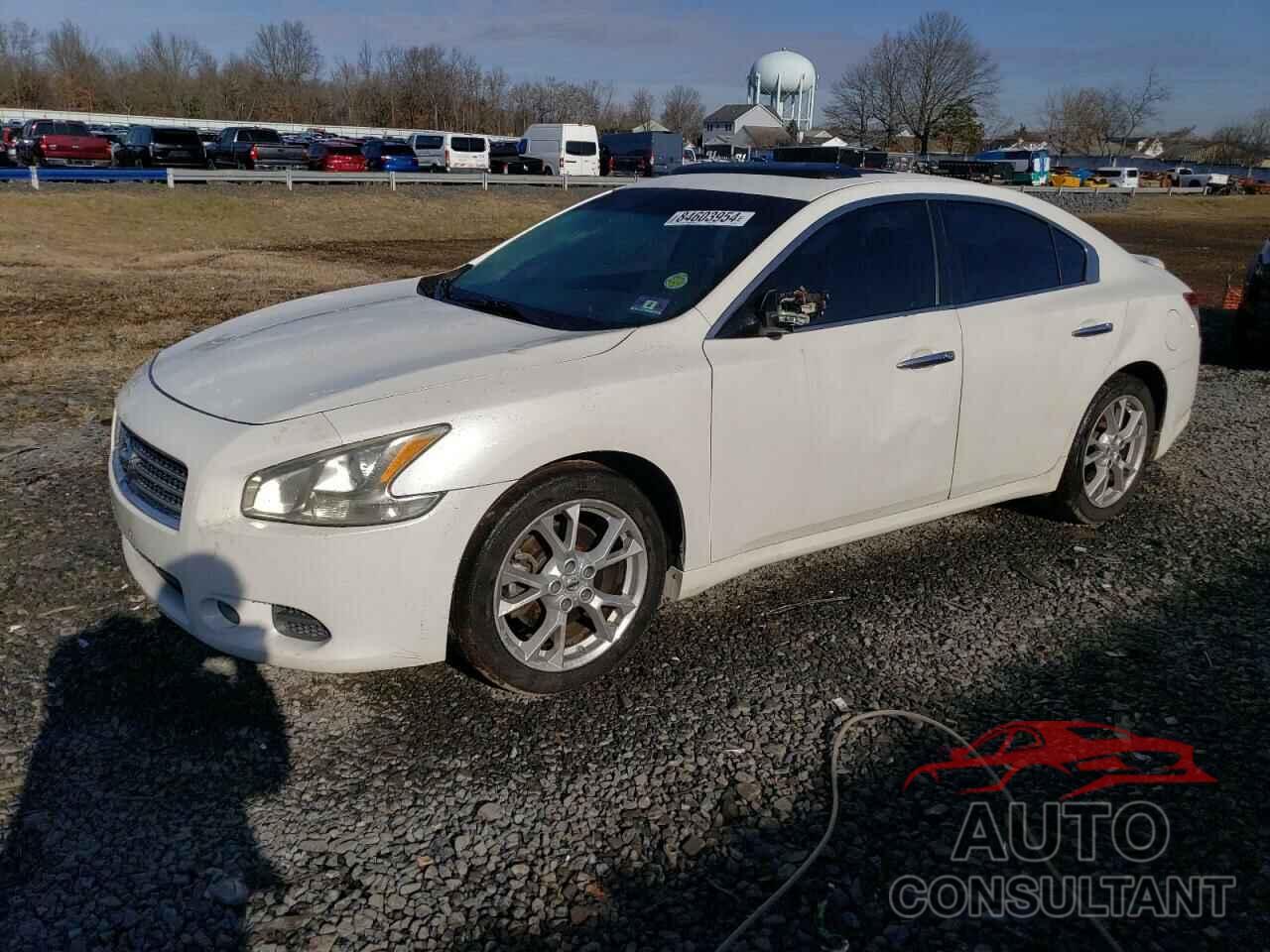 NISSAN MAXIMA 2009 - 1N4AA51E99C829594