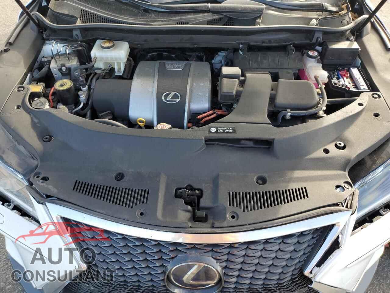 LEXUS RX450 2019 - 2T2BGMCA6KC035646