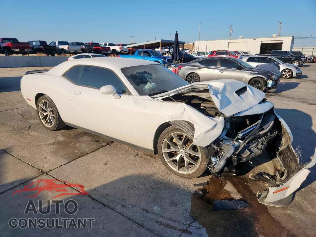 DODGE CHALLENGER 2023 - 2C3CDZJG5PH503941