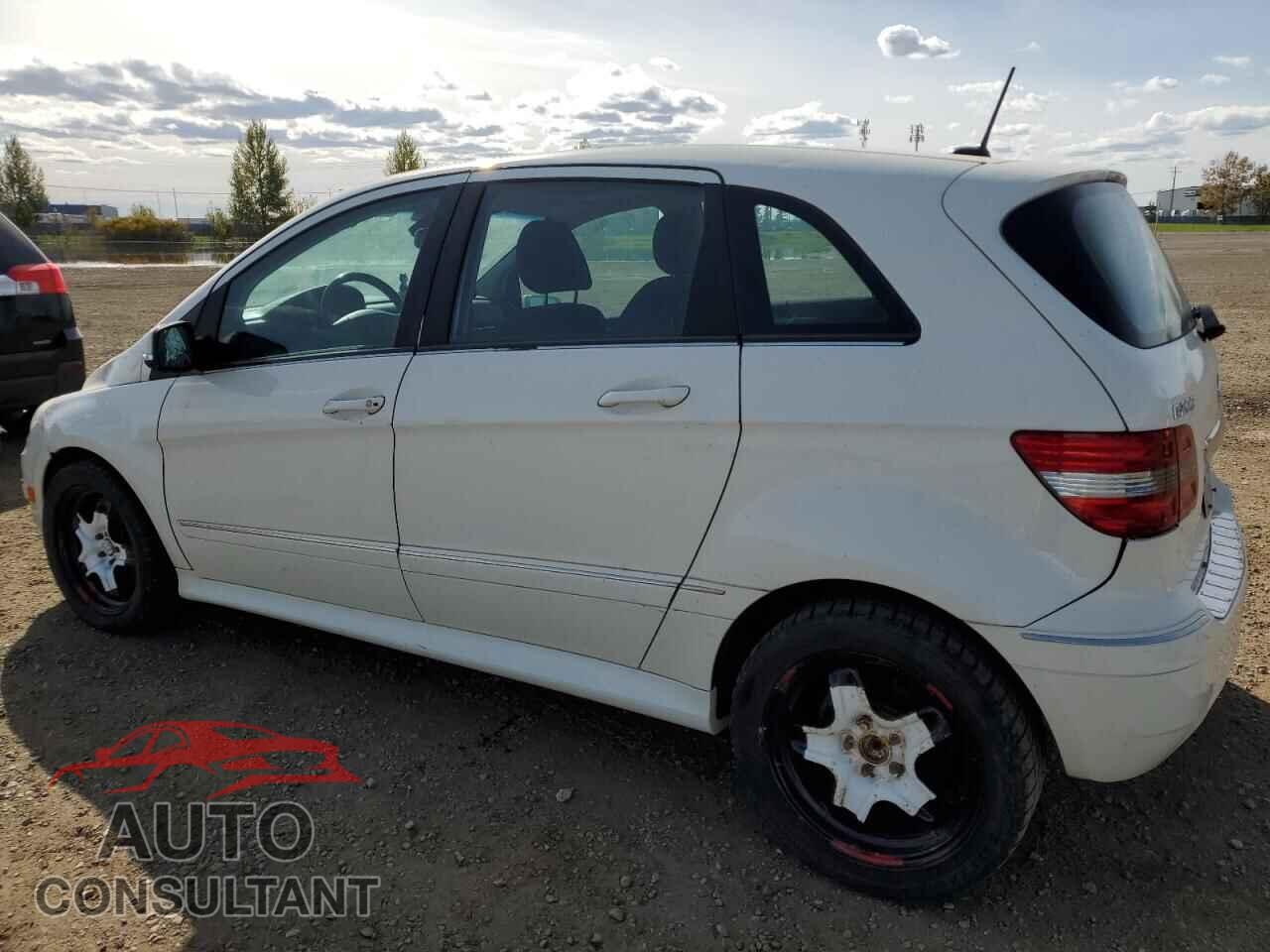 MERCEDES-BENZ B-CLASS 2011 - WDDFH3DB6BJ679016