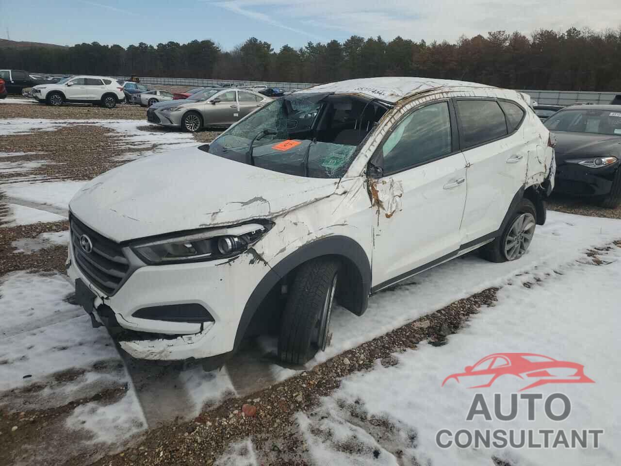 HYUNDAI TUCSON 2018 - KM8J23A49JU822500