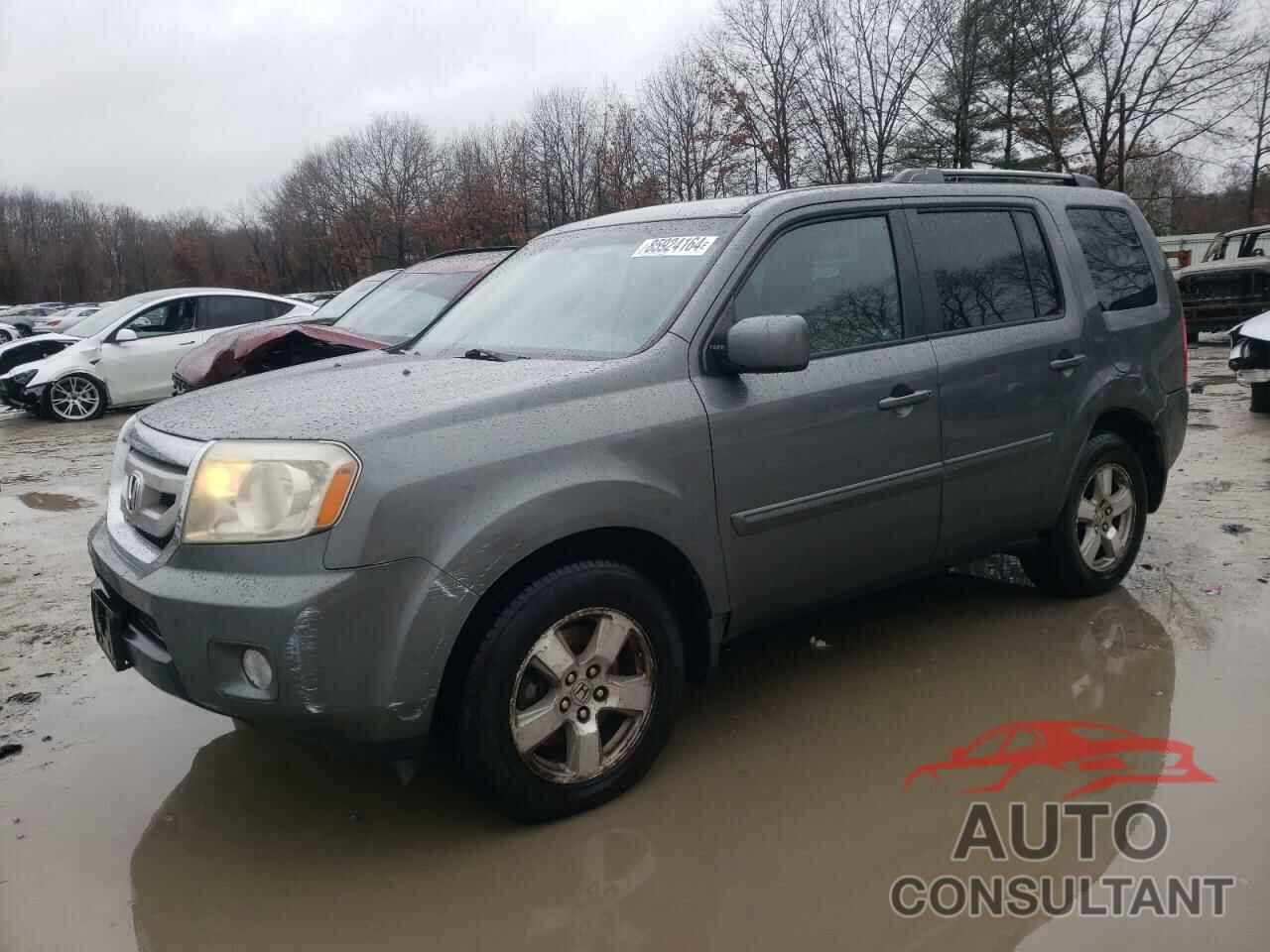 HONDA PILOT 2009 - 5FNYF48449B013154