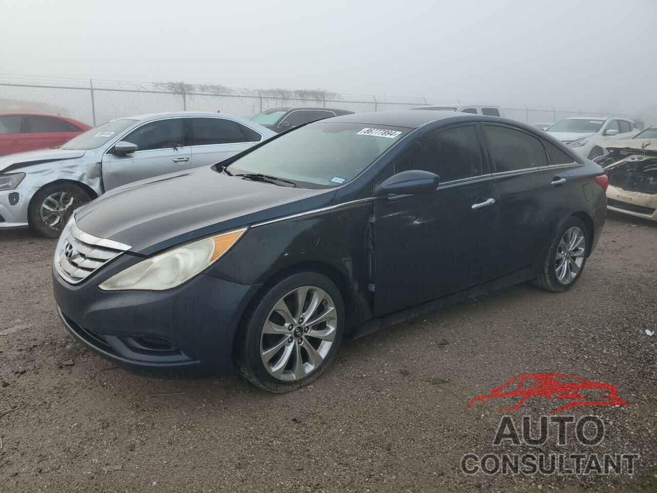 HYUNDAI SONATA 2013 - 5NPEC4ACXDH600367