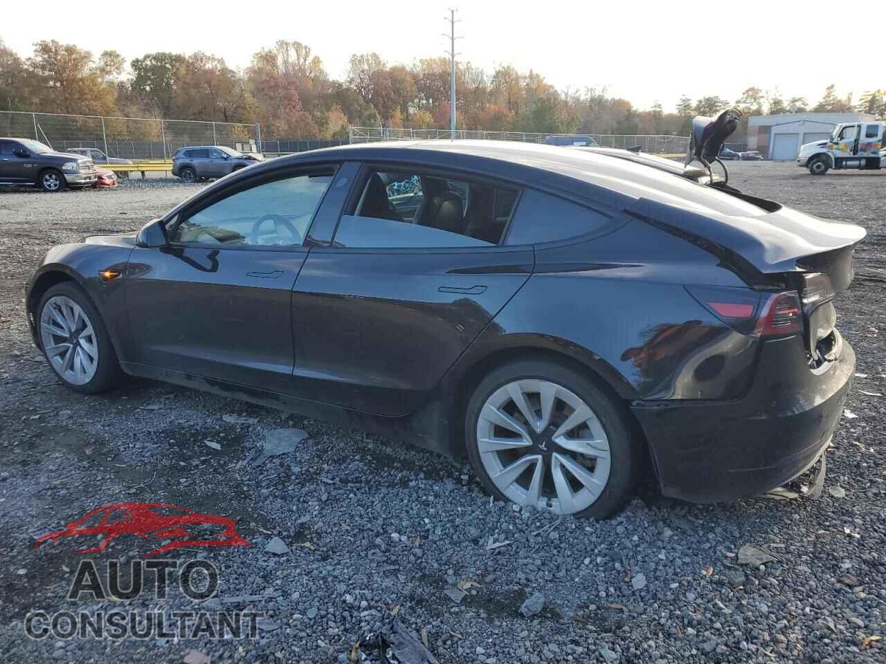 TESLA MODEL 3 2021 - 5YJ3E1EB2MF924199