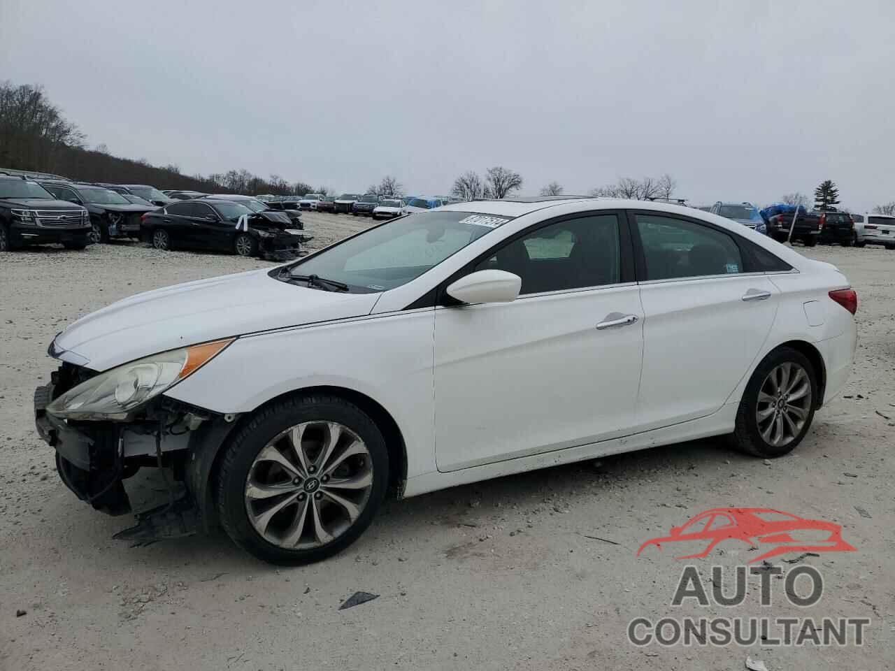 HYUNDAI SONATA 2013 - 5NPEC4AC7DH622133